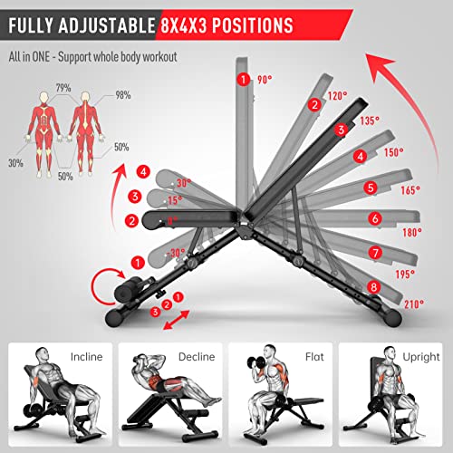 JOROTO MD35 Adjustable Weight Bench - Foldable 700 Pounds Load Strength Training Benches for Full Body Workout Bench Press ( With Fast Auto-lock Adjustments ) - jorotofitness